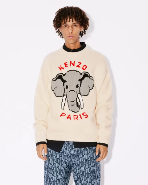 S24KENZFD55PU3643Off