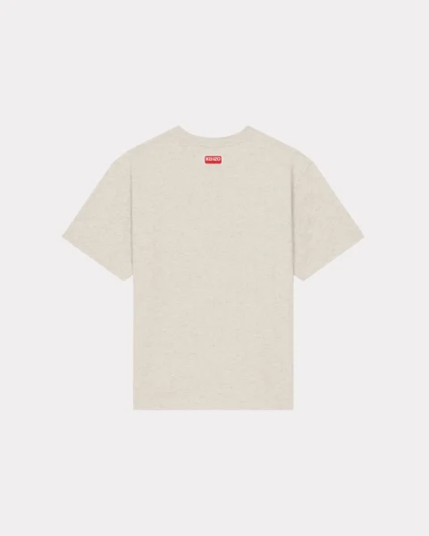 S24KENZFE58TS0064Grey.webp