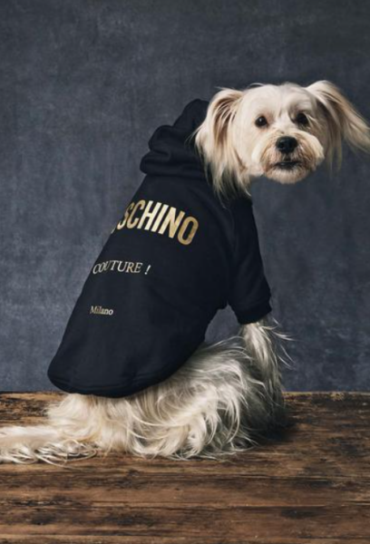 Polerón Moschino Pet Negro con Capucha y Logo Dorado para Perro Raza Pequeña