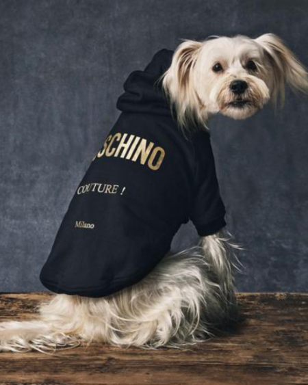 Polerón Moschino Pet Negro con Capucha y Logo Dorado para Perro Raza Pequeña