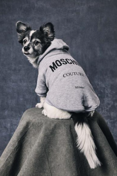 Captura de pantalla 2026-04-09 182907