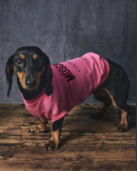 Polera Moschino Pet Fucsia con Logo Negro para Perro Raza Pequeña
