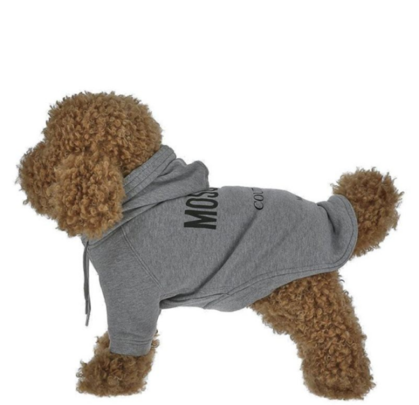 Captura de pantalla 2026-04-09 182907