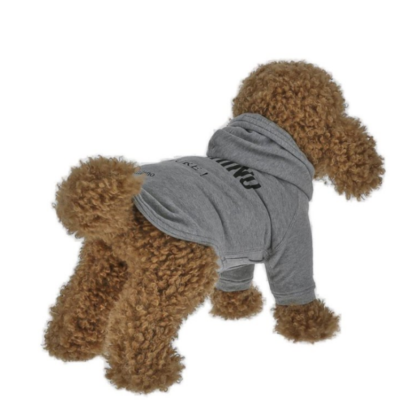 Captura de pantalla 2026-04-09 182907