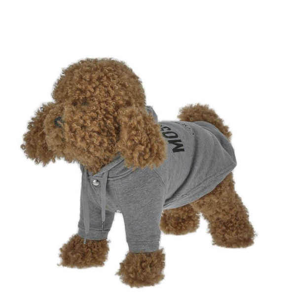 Captura de pantalla 2026-04-09 182907