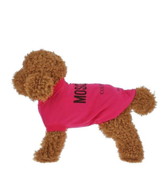 Captura de pantalla 2026-04-09 183135