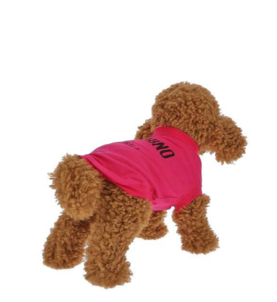 Captura de pantalla 2026-04-09 183135