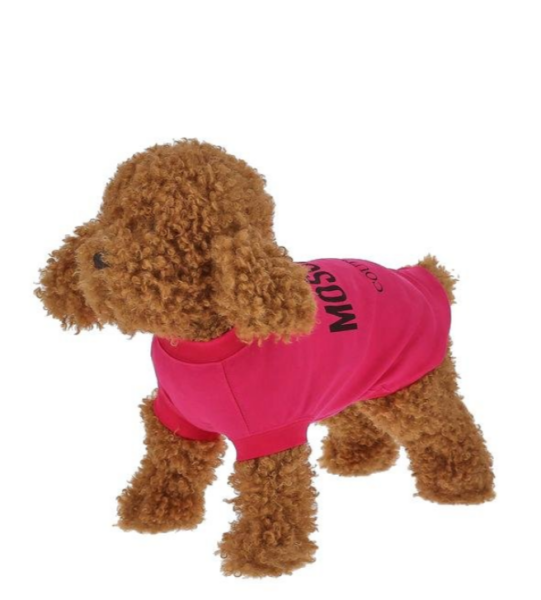 Captura de pantalla 2026-04-09 183135