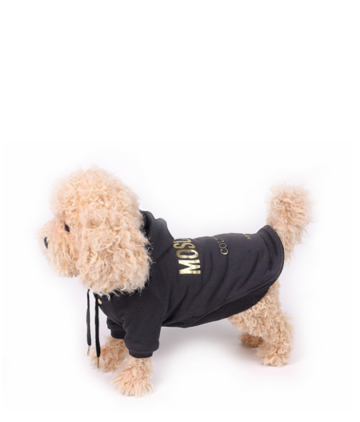 Captura de pantalla 2026-04-09 182831