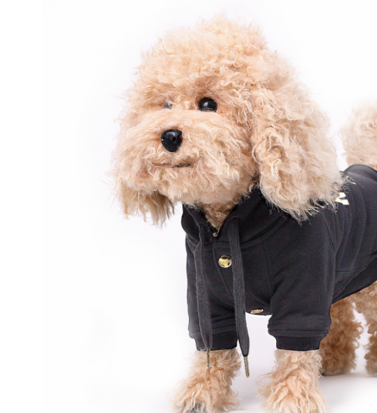 Captura de pantalla 2026-04-09 182831