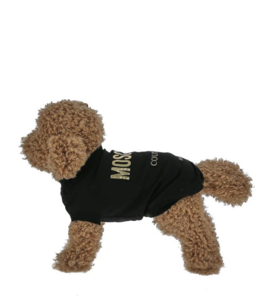 Captura de pantalla 2026-04-09 185755