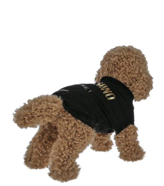 Captura de pantalla 2026-04-09 185755