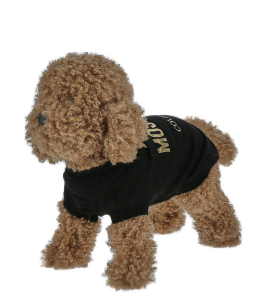 Captura de pantalla 2026-04-09 185755