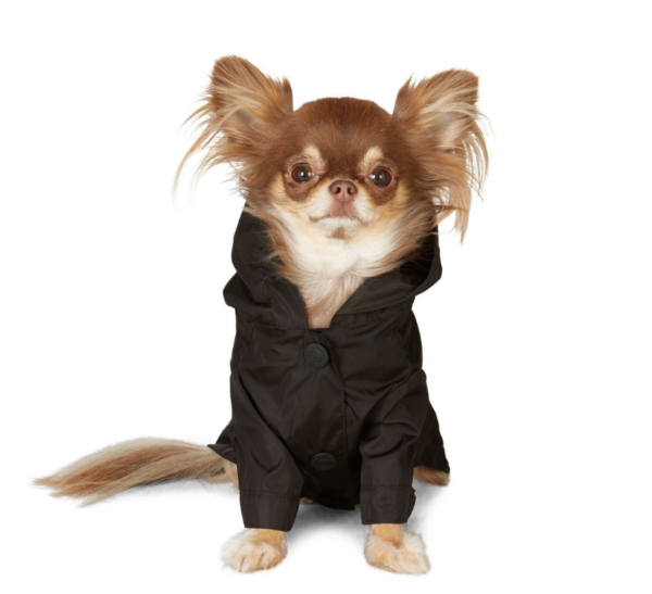black-poldo-dog-couture-edition-hooded-raincoat (1)