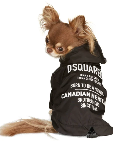 Cortaviento Dsquared2 Pet Negro con Capucha y Estampado para Perro Raza Pequeña