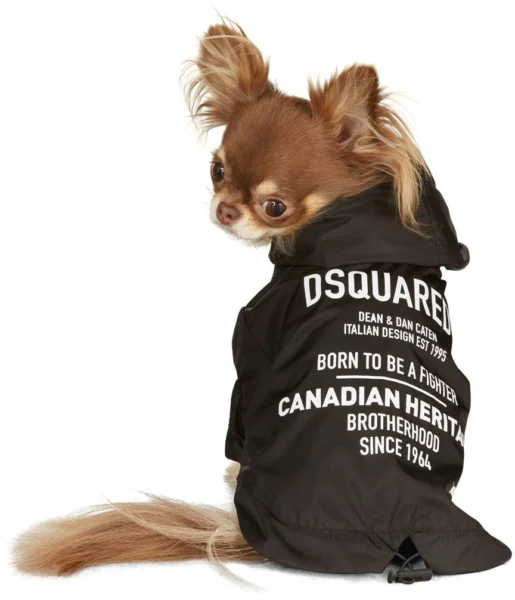 Cortaviento Dsquared2 Pet Negro con Capucha y Estampado para Perro Raza Pequeña